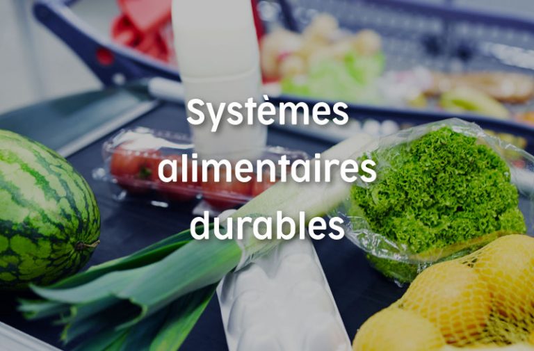 Systèmes alimentaires durables Terra Isara